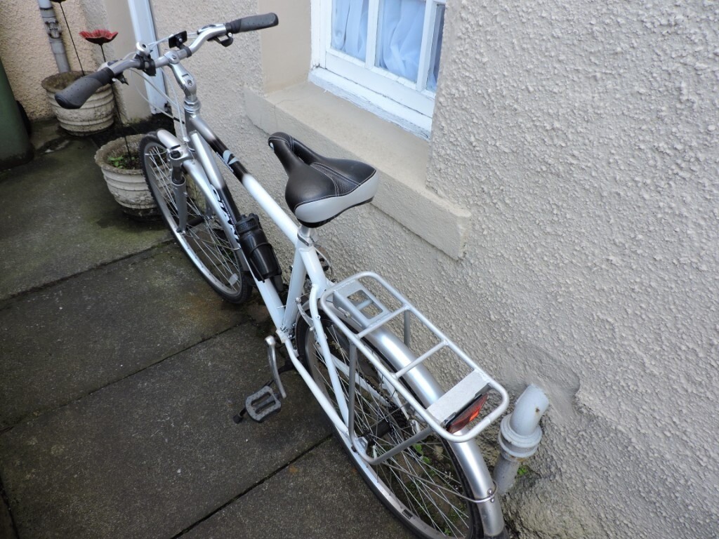 giant expression mens bike